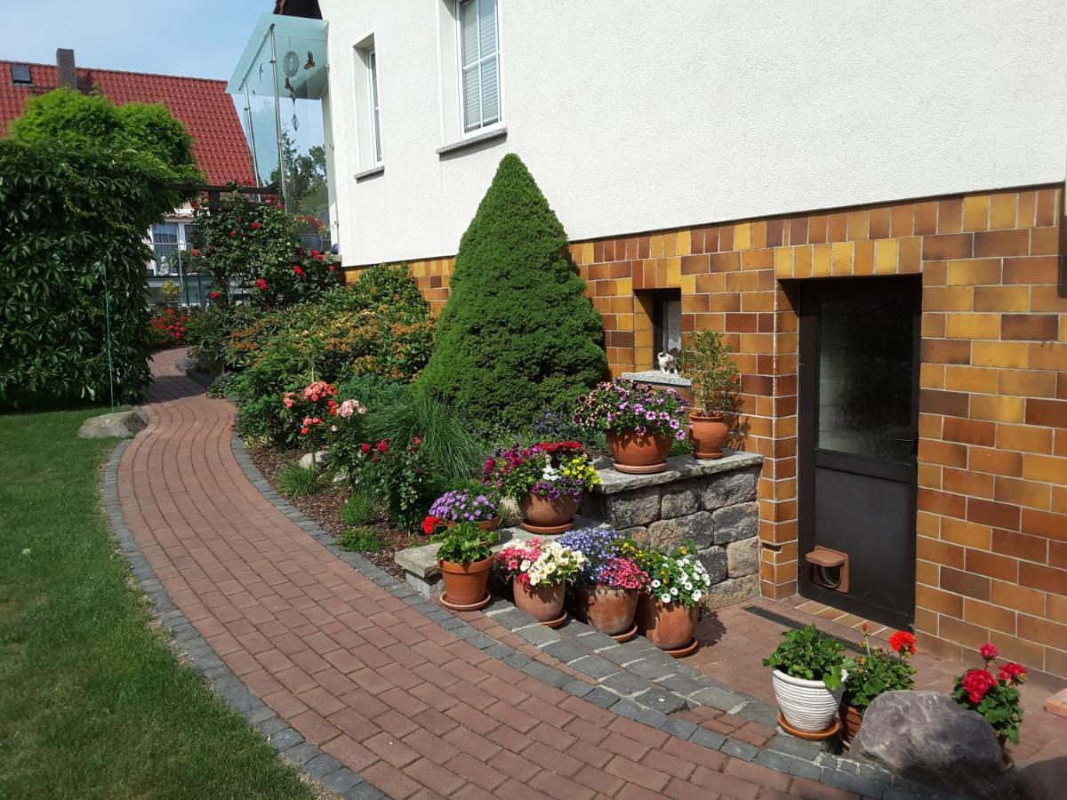 Ferienwohnung Schubert Sagard Εξωτερικό φωτογραφία